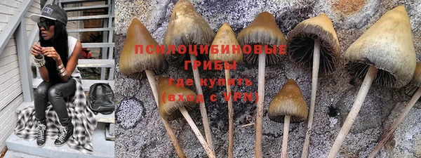 spice Белоозёрский