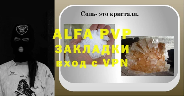 молекула духа Тайга