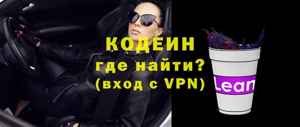 молекула духа Тайга